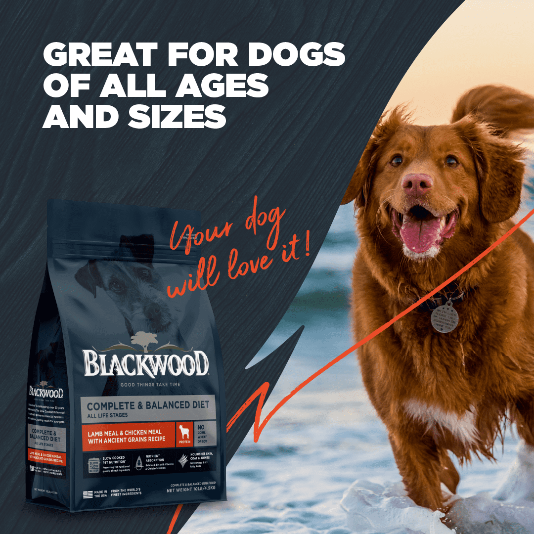 Blackwood Dry Dog Food Lamb & Chicken Meal with Ancient Grains 10 lb.