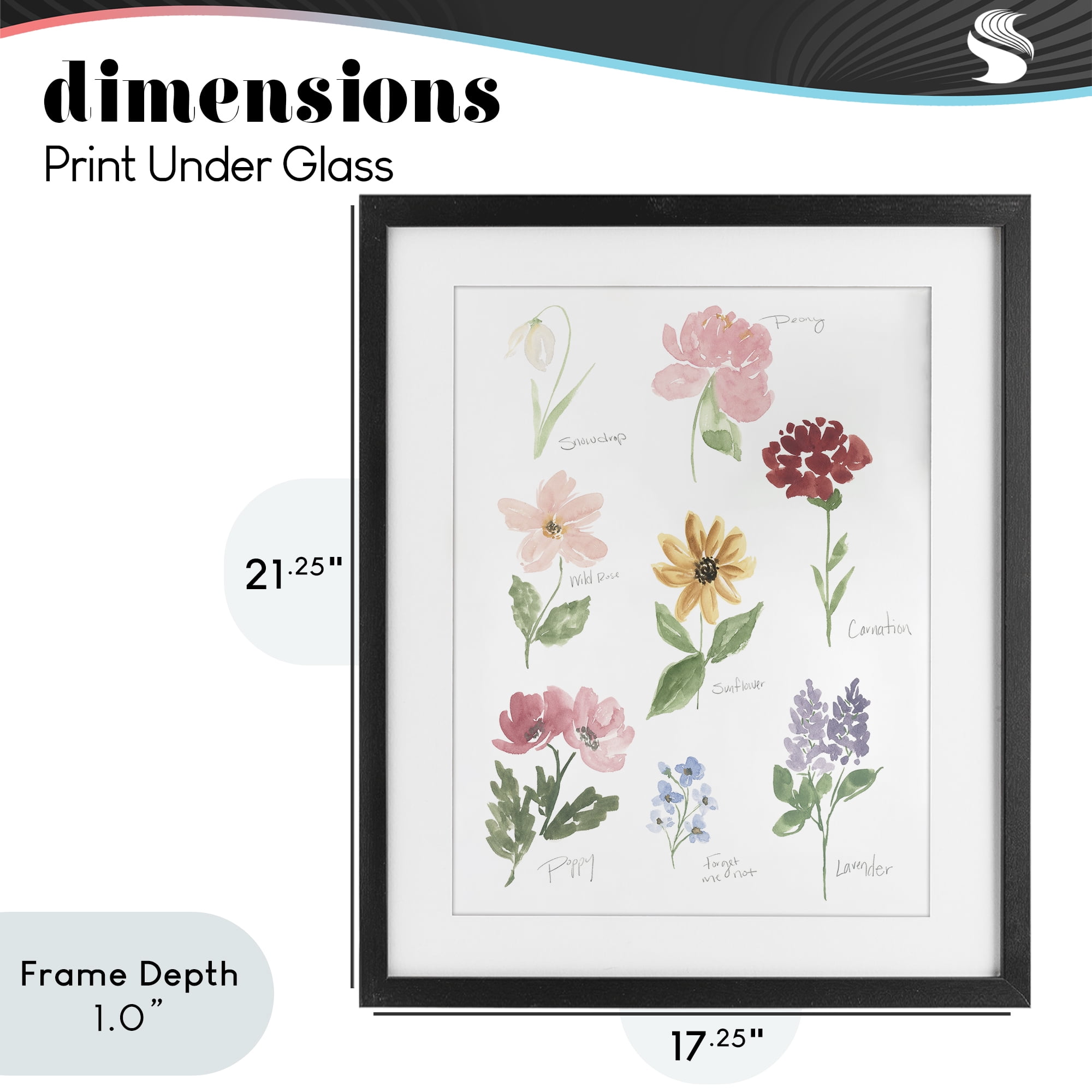 Stupell Industries Labeled Flower Varieties Black Framed Print Under Glass, design by Lucille Price