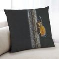 thumbnail image 1 of Ahgly Company Color Focus Black Coussin Décoratif d'Intérieur, 18 Po X 18 Po, 1 of 6