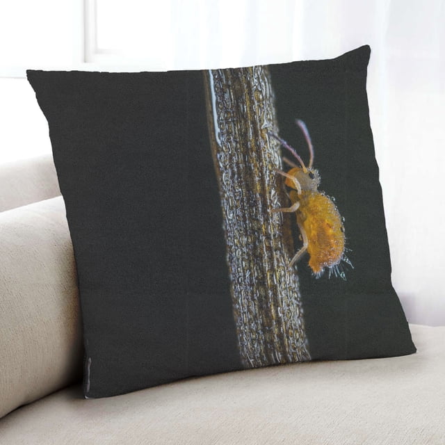 Ahgly Company Color Focus Black Coussin Intérieur, 18 Pouces par 18 Pouces