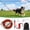 Red, variant on 50FT Dog Zip Line System for Large Dogs Up to 300lb