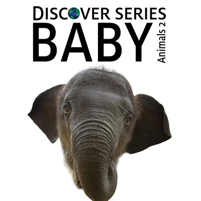 Baby Animals 2 : Discover Series Picture Book for Children
