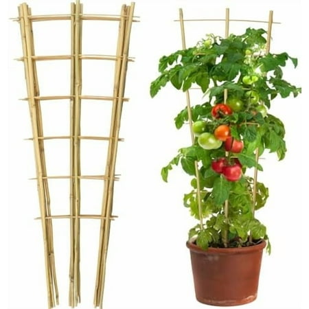 10 Pack 3 Feet Natural Bamboo Trellis Fan-Shaped Bamboo Plant Trellis for Climbing Plants Vegetables Cucumber Tomato Outdoor and Indoor Potted Plants$$Garden & Patio 10 Pack 3 Feet Natural Bamboo Trellis Fan-Shaped Bamboo Plant Trellis for Climbing Plants Vegetables Cucumber Tomato Outdoor and Indoor Potted Plants$$Garden & Patio