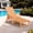Teak, variant on AwayHome HIPS Outdoor Chaise Lounge with Rolling and Adjustable Backrest,Teak