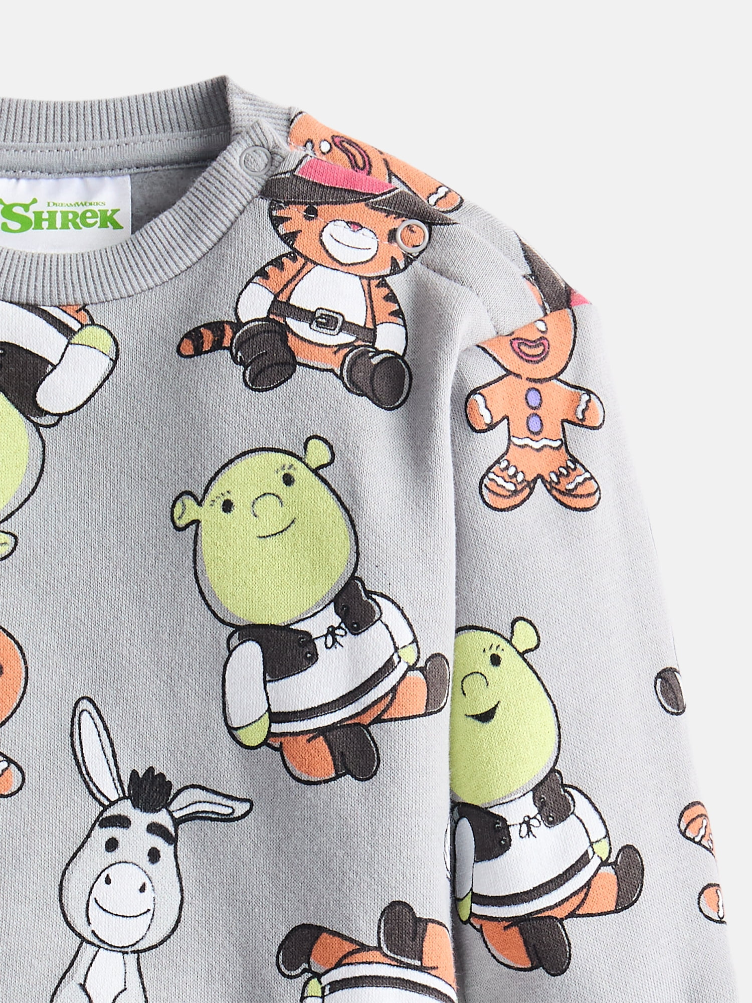 Shrek Baby Boys Cozy and Comfortable Fleece Sweatshirt and Pants, 2-Piece, Sizes 0/3M-24M