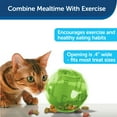 thumbnail image 4 of PetSafe Slimcat Interactive Feeder Ball for Cats, Fill with Food and Treats, Green, 4 of 4