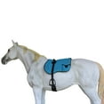 thumbnail image 5 of Horse Breathable Anti-Slip Neoprene Turquoise Bareback Pad 39194TR, 5 of 5