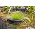 thumbnail image 6 of PondH2o Floating Aquatic Water Garden Pond Planter Basket, 10 Inch Round Fabric Floatable Flower Plant Pot Aquaponics, Hydroponics, 6 of 9