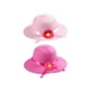 thumbnail image 5 of 4 sombreros de paja con diseño de girasol para niñas, gorros para el sol, para disfraz de niña pequeña y decoraciones de cumpleaños (1 rosa roja, 1 azul, 1 amarillo y 1 rosa)., 5 of 6