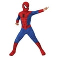 thumbnail image 1 of Rubie's Disfraz de Spider-Man Marvel para niño, mono y máscara, talla pequeña, 1 of 5