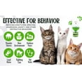 thumbnail image 4 of Zenpaws Upgraded No Scent - 2 Pack Diffuser Cat Relaxant Refill - 6 Bottles Total -Compatibility : Refills Compatible with All Major Brand diffusers. Feliway, Comfort Zone, ThunderEase, Relaxivet, 4 of 8