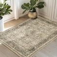 thumbnail image 5 of NICETOWN Doormat 2'x3' Washable Area Rug, Machine Washable Non-Slip Stain Resistant Carpet for Hallway Entrance, Brown, 5 of 10