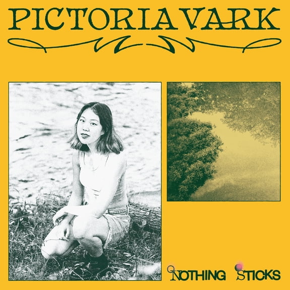 Pictoria Vark - Nothing Sticks - Music & Performance - Vinyl