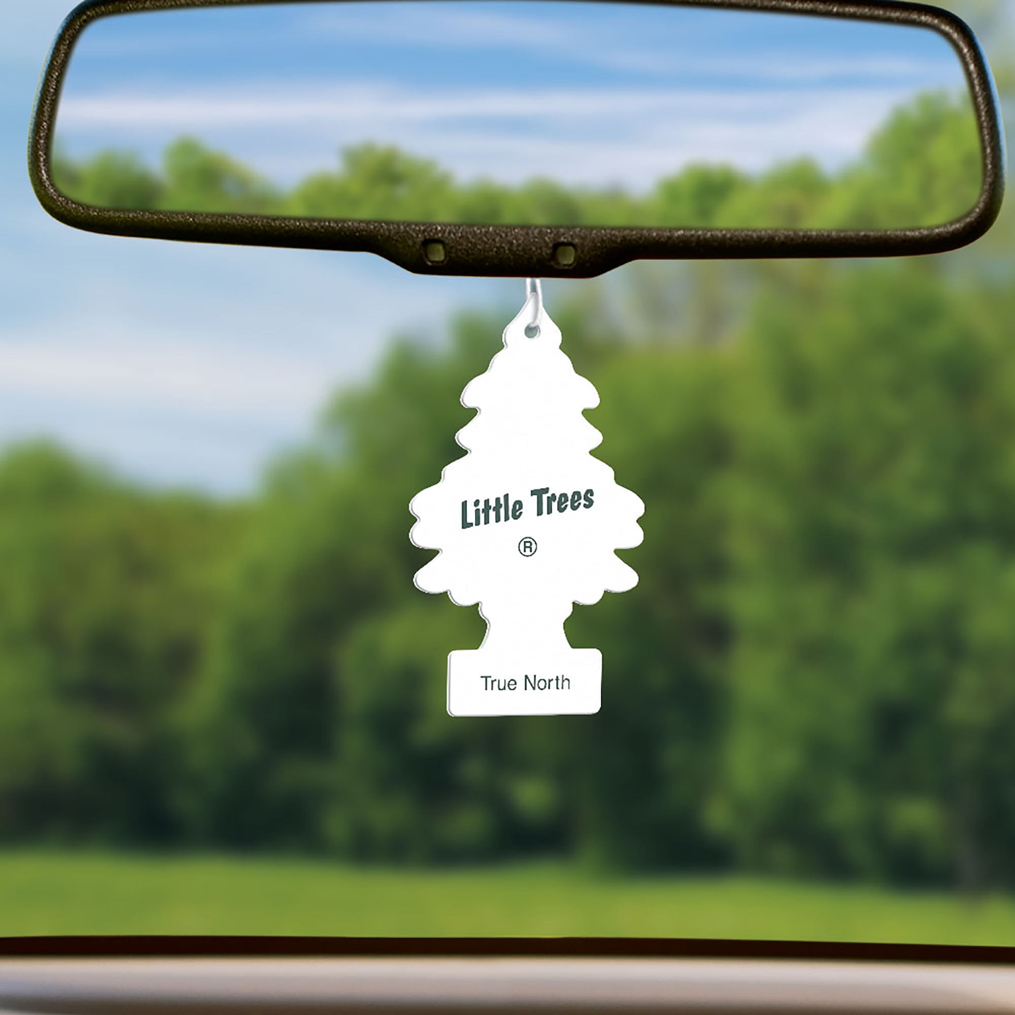 Little Trees True North Hanging Air Freshner (3-Pack) U3S-37146 - The Home  Depot