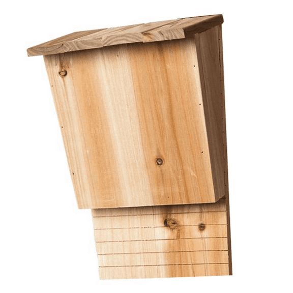 New Arrivals Outdoor Bat House Habitat Box Wooden Decorative