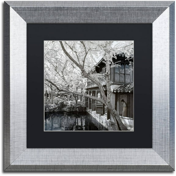 Trademark Fine Art "Reflections" Canvas Art by Philippe Hugonnard, Black Matte, Silver Frame