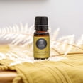 thumbnail image 2 of Edens Garden Laurel Leaf Essential Oil- 100% Pure Premium Grade, Undiluted, Natural, Therapeutic, Aromatherapy, The Best for Diffuser, Skin, Candle, Humidifiers 10 ml (.33 fl oz), 2 of 9