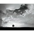 thumbnail image 3 of Aledanda 18x15 Black Modern Framed Museum Art Print Titled - Lone Tree, 3 of 5