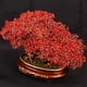 thumbnail image 4 of Árbol de la fortuna de cristal rojo Árbol de la fortuna Mueble de TV for sala de estar Inauguración de tienda Boda Inauguración de casa, 4 of 6