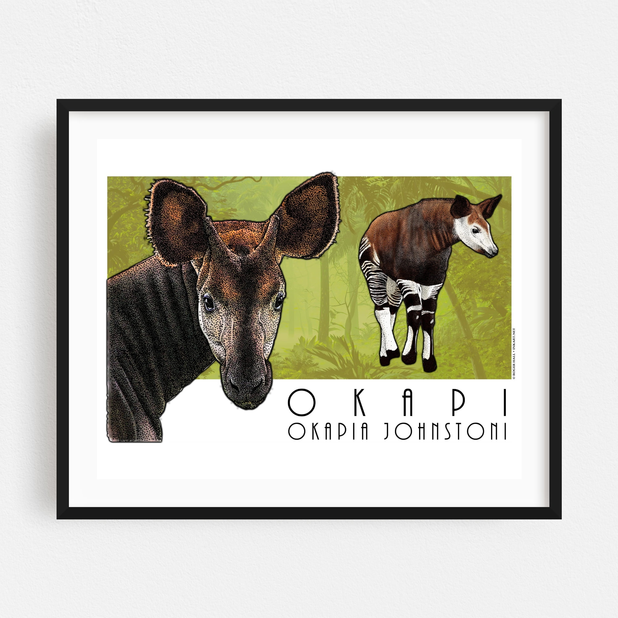 CANVAS Okapi Art print POSTER 