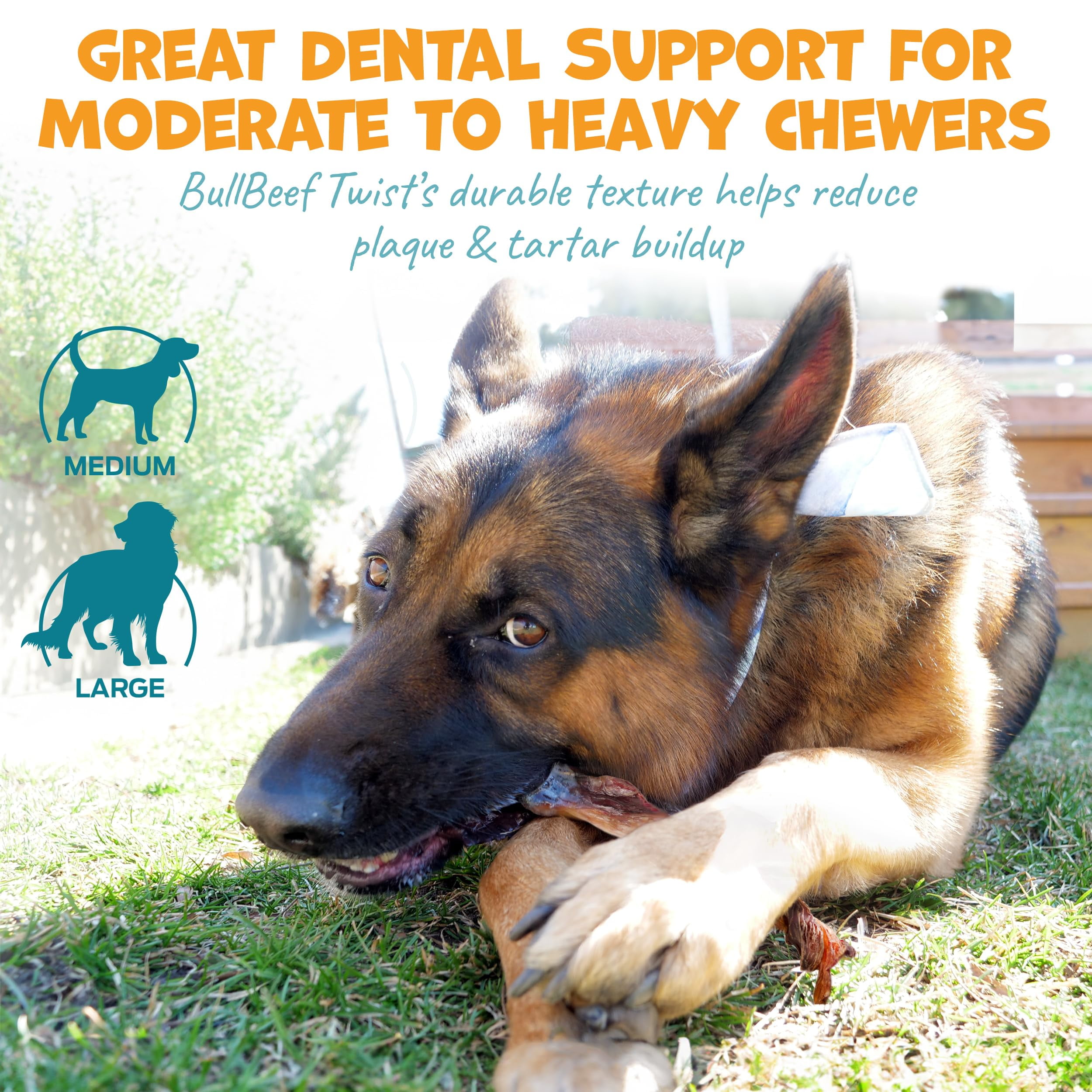 Pack Approved Bull Beef Twist - Beef Dog Treats for Medium Dogs & Large Breeds- Long Lasting Dog Chews for Aggressive Chewers - 9" (3ct)