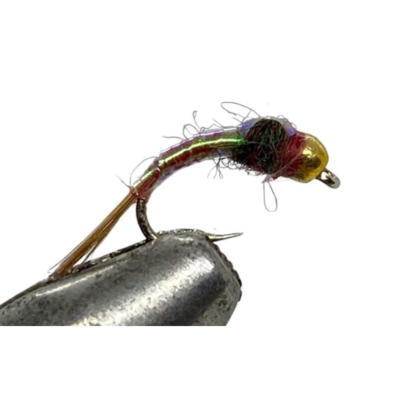 One Dozen (12) - Tungsten Beadhead Rainbow Warrior - Nymph