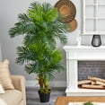 thumbnail image 5 of Nearly Natural 6' Hawaii Palm Artificial Tree, Green, 5 of 6