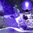 thumbnail image 4 of Colorido LED Fish Tank Aquarium Light Estándar europeo JAMW Sencillez, 4 of 5