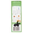 thumbnail image 2 of China Mist Blackberry Jasmine Iced Green Tea, .5 oz, 4 ct, 2 of 5