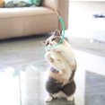 thumbnail image 4 of Queue de Souris Bâton Drôle pour Chat Jouet pour Chat Jouet Interactif pour Chat Souris silicone Tige pour Chat Drôle Amazon Transfrontalier Fabricant, 4 of 7