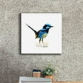 thumbnail image 3 of Epic Graffiti 'Bird Collection 21' by Ata Alishahi, Giclee Canvas Wall Art, 18"x18", 3 of 8