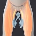 thumbnail image 4 of Ejercitador muscular del piso pélvico Perfecl Entrenador de cadera reparación pélvica azul, 4 of 8