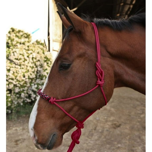 Clinician Rope Halter