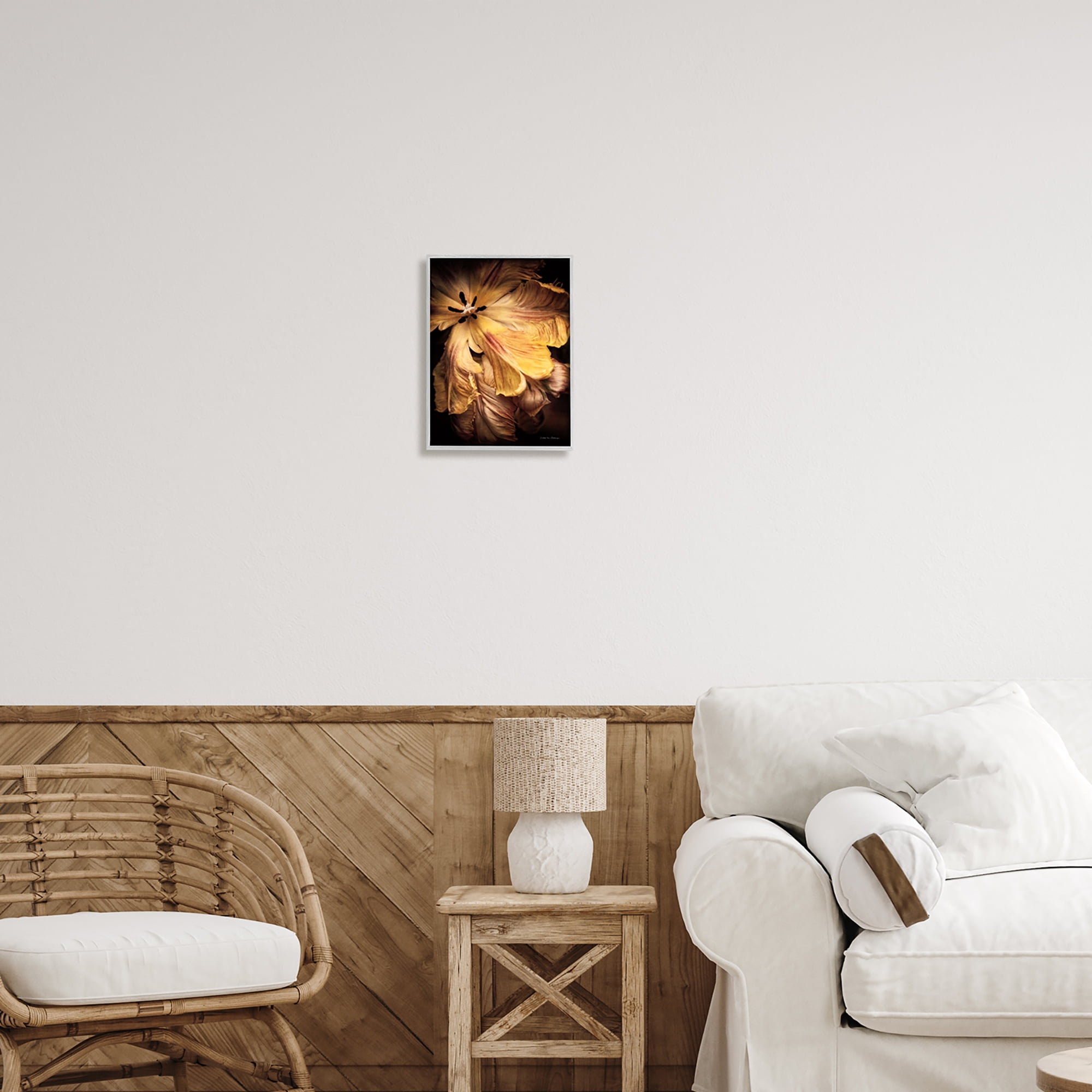Stupell Industries Modern Hibiscus Photography Botanical & Floral Photography Gray Framed Art Print Wall Art, 11 x 14