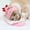 Pink, variant on Cat Teaser Toy for Cats Head Mounted Interactive Feather Teasing Stick Purrfect Pet Headgear Entertainment