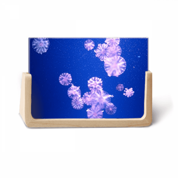 Ocean Jellyfish Science Nature Picture Photo Wooden Photo Frame Tabletop Display