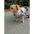 thumbnail image 5 of Small Adjustable Pet Dog Wheelchair, Hind Leg Rehabilitation Wheelchair, Assisted Walking Wheelchair Car, 5 of 6