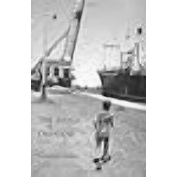 THE JUDGE OF ORPHANS