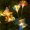1PC Warm White, variant on 1PC 6-Head LED Solar Fiber Optic Butterfly Lights, 2 Modes Outdoor Idea Landscape Lighting For Garden,Pathways, Lawn, Patio,Yard