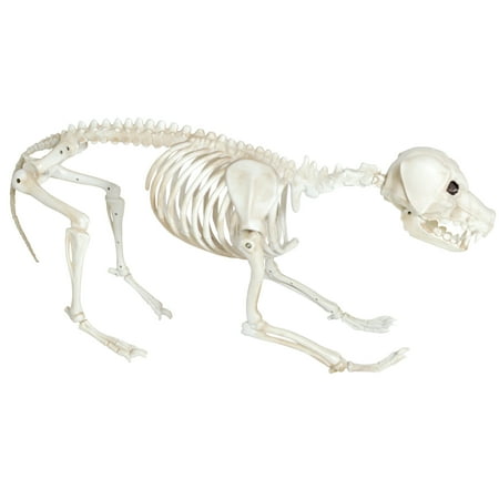 Mean Skeleton Dog Halloween Decoration Walmart Com