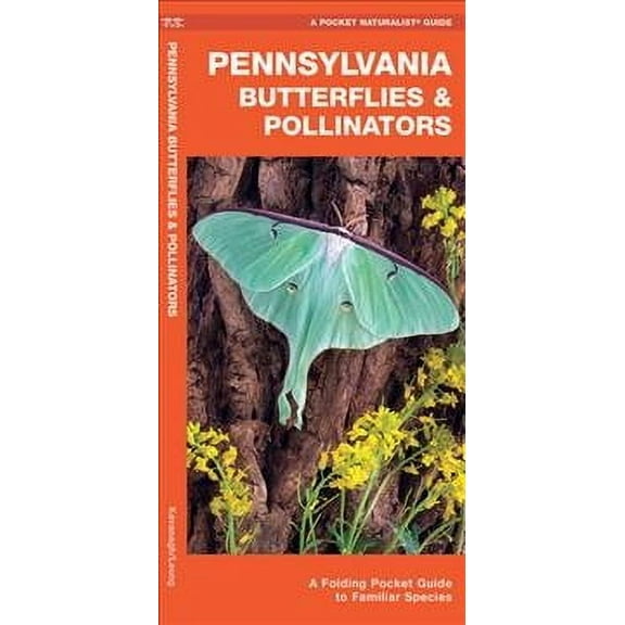 Pennsylvania Butterflies & Pollinators : A Folding Pocket Guide to Familiar Species