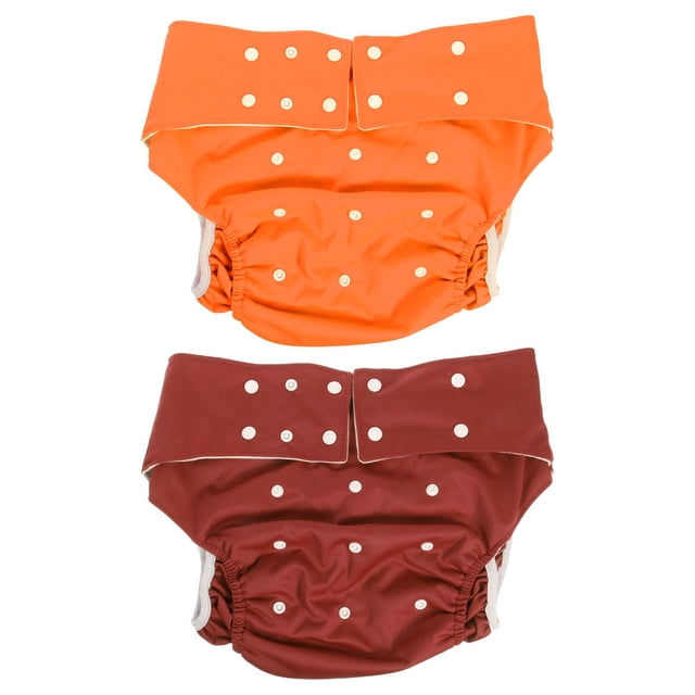 WASHWEPE 2Pcs Washable Elderly Diaper for Women Teenagers Daily Use Night Use Anti Leak Incontinence Protection