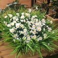 thumbnail image 6 of Artificial Daisies Flowers Outdoor UV Resistant 4 Bundles Fake Greenery Faux Plants Shrubs Bushes for Indoor Outside Decor(White), 6 of 7