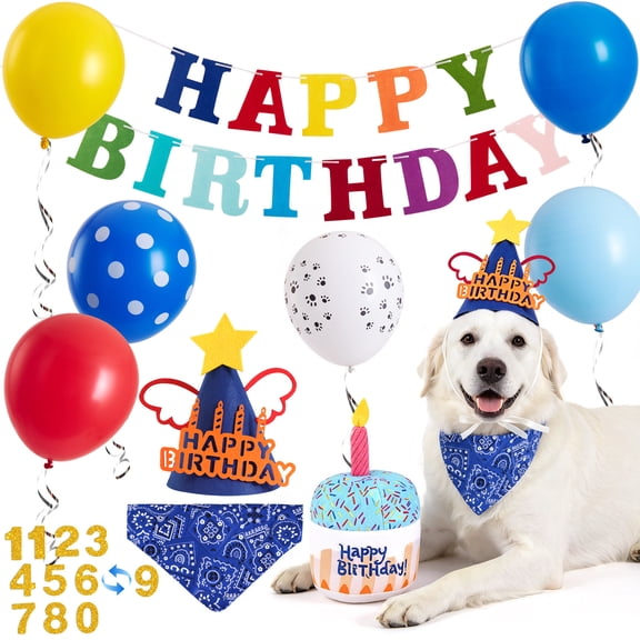EASY JOY 13-Piece Dog Birthday Party Supplies Set with Hat, Bandana & Decorations Blue