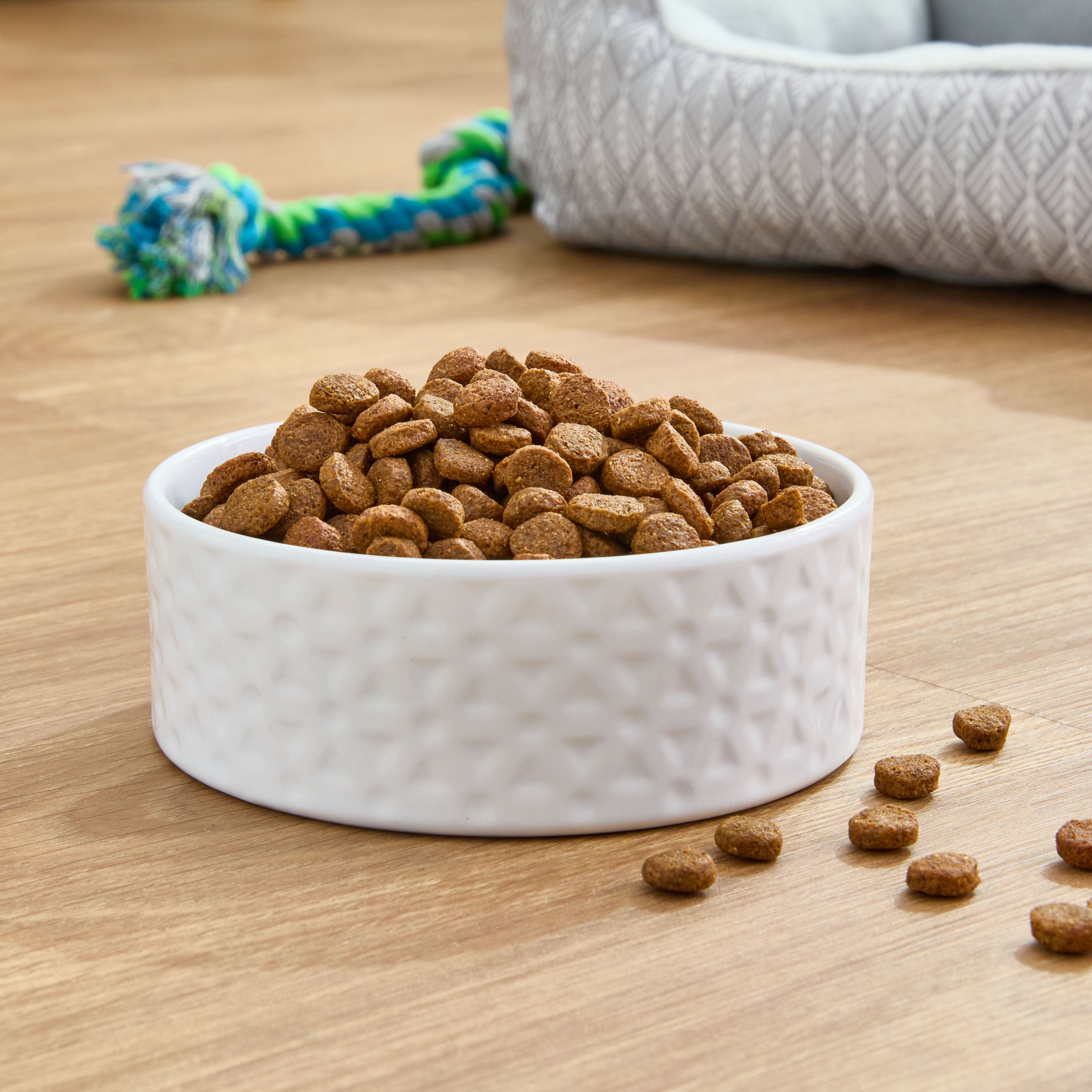 Pure Balance Wild & Free Grain-Free Salmon & Pea Recipe Dry Dog Food, 24 lbs