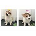 thumbnail image 2 of Sombrero de paja para gato, lindo, ajustable, hecho a mano, a la moda, divertido, para mascotas, sombrero para el sol, libélula de bambú, sombrero de verano para perros, sombrero para gatos, amarillo y rojo (pequeño) oso de fresa Electrónica, 2 of 5