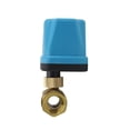 thumbnail image 2 of 2 Way motorised Valve 12v Electronic Electric Ball Valve 2 Port Motorized Zone Valve electrovalve 1/2 3/4 1 1-1/4 inch, 2 of 3