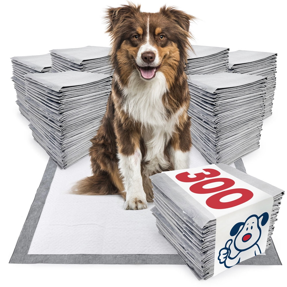 IMPROVED ValuePad Ultra Puppy Pads, Large 28x30 Inch, 300 Count BULK
