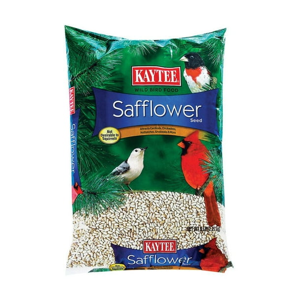 Kaytee Safflower Songbird Wild Bird Food Safflower Seeds 5 lb