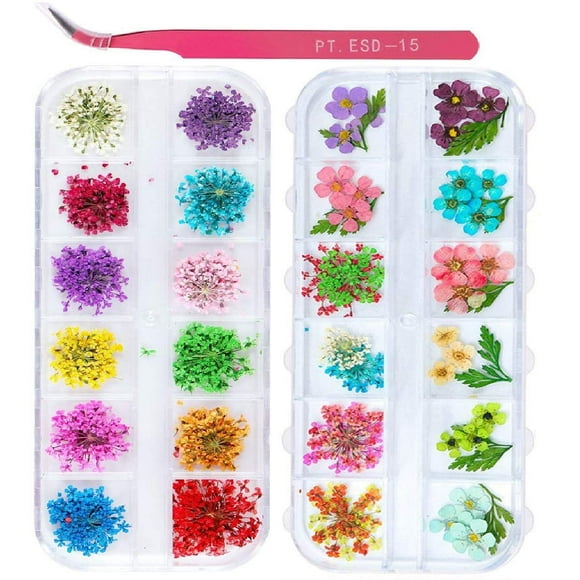 2 Cajas Nail Art Flores Secas UNIME 24 Colores Flores Secas Mini Flores Naturales Reales Suministros de Arte de Uñas Apliques 3D Decoración de Uñas Etiqueta para Consejos Manicura Decoración Accesorio